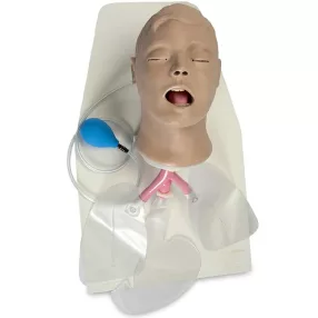 Airway Larry felnőtt intubációs oktató fej állvánnyal