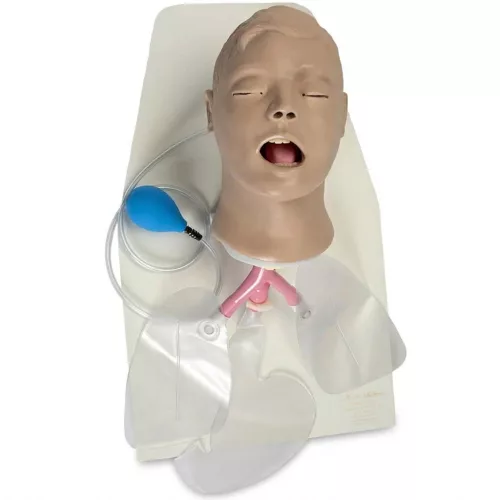 Airway Larry felnőtt intubációs oktató fej állvánnyal