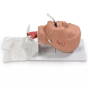 Simulaids  ECONOMY felnőtt intubációs oktató modell