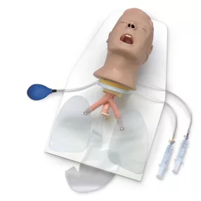   Advanced Airway Larr felnőtt intubációs oktató modell álvánnyal