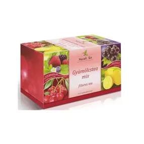 Mecsek Gyümölcstea MIX 4x5x2g