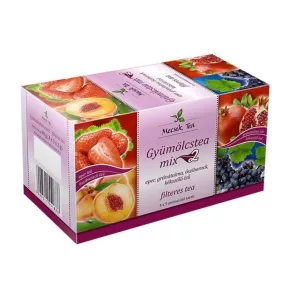 Mecsek Gyümölcstea MIX2 4x5x2g