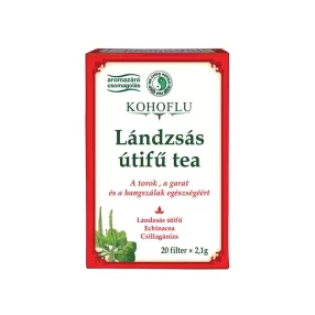 Dr.chen kohoflu lándzsás útifű teakeverék 20x2,1g