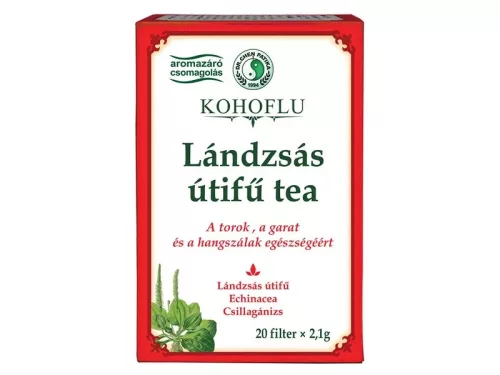 Dr.chen kohoflu lándzsás útifű teakeverék 20x2,1g