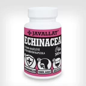 Javallat echinacea kapszula 60 db