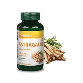Vitaking Astragalus kivonat 100mg 90db