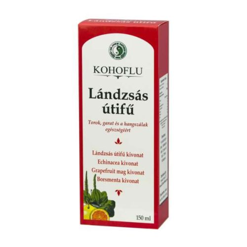 Dr. Chen Kohoflu Lándzsás Útifű Szirup 150 ml