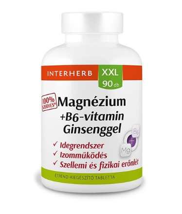 INTERHERB XXL MAGN B6 GINSENG TABL 90X
