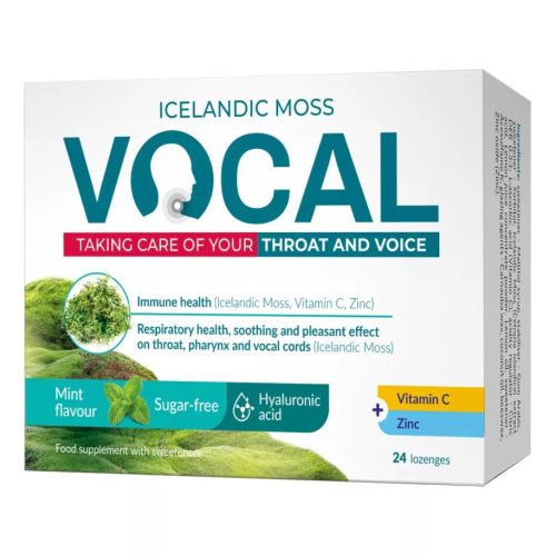 VOCAL SZOPOGATÓ TABLETTA MENTA 24X