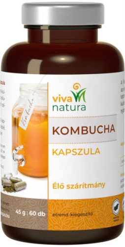 VIVA NATURA KOMBUCHA ÉTRKIEG KAPSZ 60X