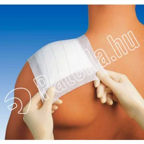 Omnifix elastic ragtapasz 10 cm x 2 m 900601