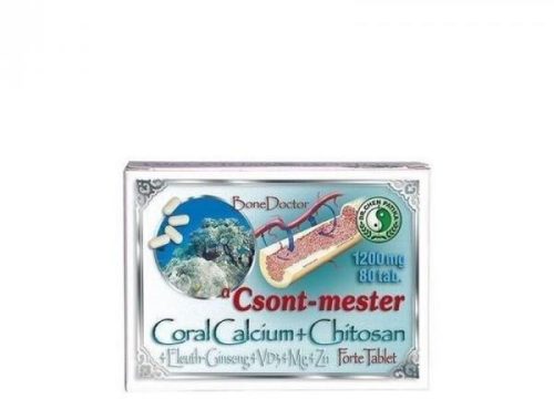 DR.CHEN CSONT MESTER FORTE TABLETTA 80X