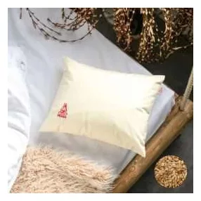   TÖNKÖLYHÉJ 30 X 40 CM ALVÓPÁRNA PRÉMIUM ALOE VERA HUZATTAL