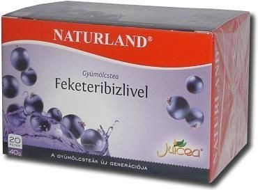 Naturland gyümölcs tea feketeribizli 20x2 gr